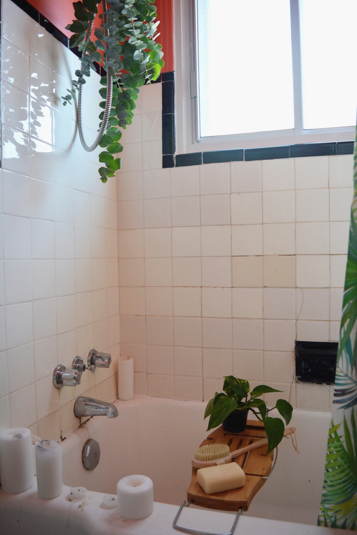eucalyptus shower deco salle de bain